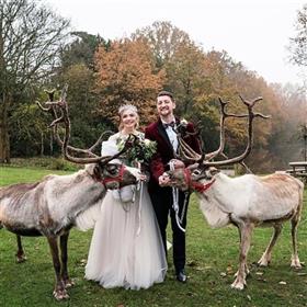 fwthumbChristmas wedding Stoke Place Reindeers Lilys Flowers Lightwater.jpg